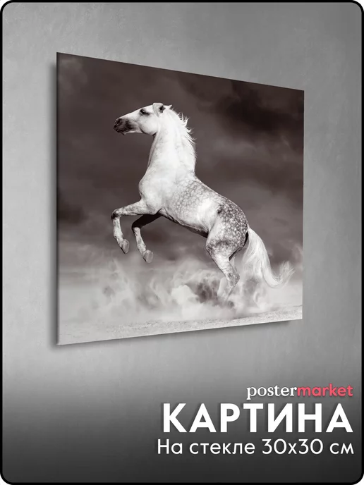 Postermarket Картина на стекле "Лошадь" 30х30 см