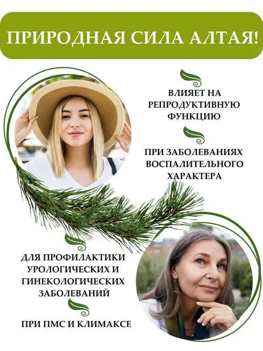 Altay Seligor Бальзам с боровой маткой и красной щеткой 250 мл, 250 мл, фото 2