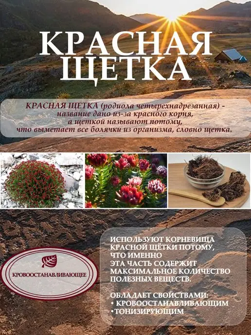Altay Seligor Бальзам с боровой маткой и красной щеткой 250 мл, 250 мл, фото 4