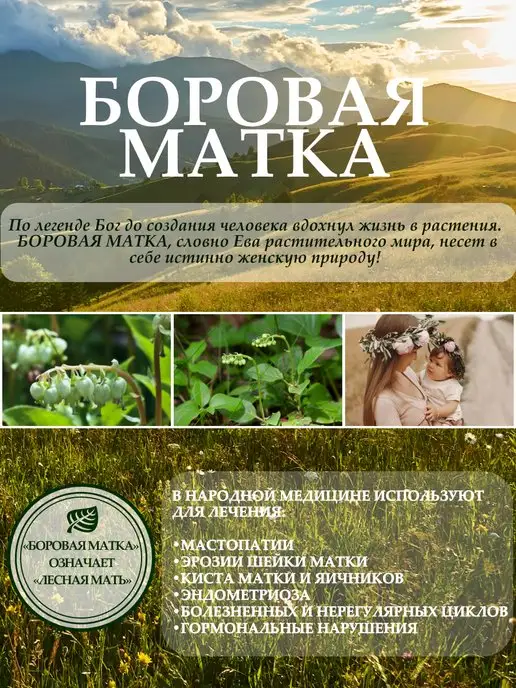 Altay Seligor Бальзам с боровой маткой и красной щеткой 250 мл, 250 мл, фото 5