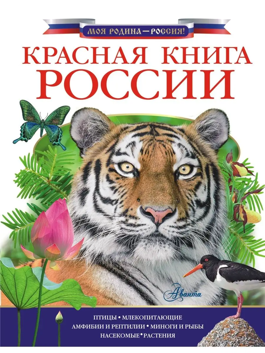 Красная книга России Издательство АСТ 4424132 купить в интернет-магазине  Wildberries