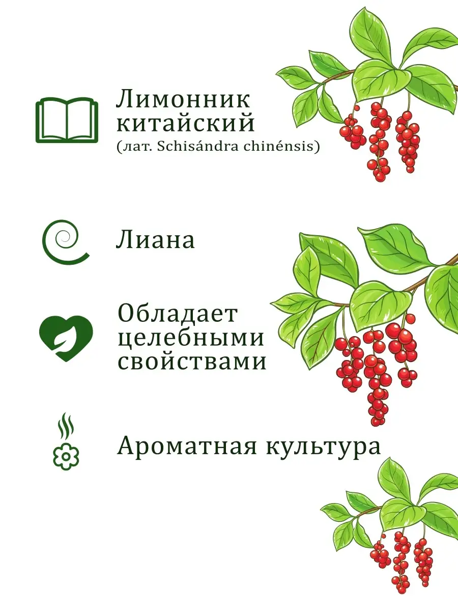 Набор для выращивания растений и цветов в горшке для дома Вырасти, Дерево!  4543538 купить за 308 ₽ в интернет-магазине Wildberries