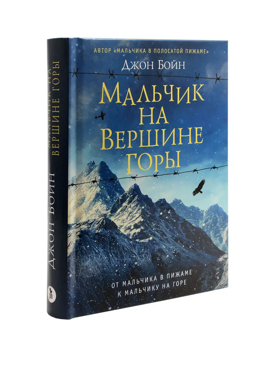 Мальчик на вершине горы Фантом Пресс 4824204 купить за 490 ₽ в  интернет-магазине Wildberries