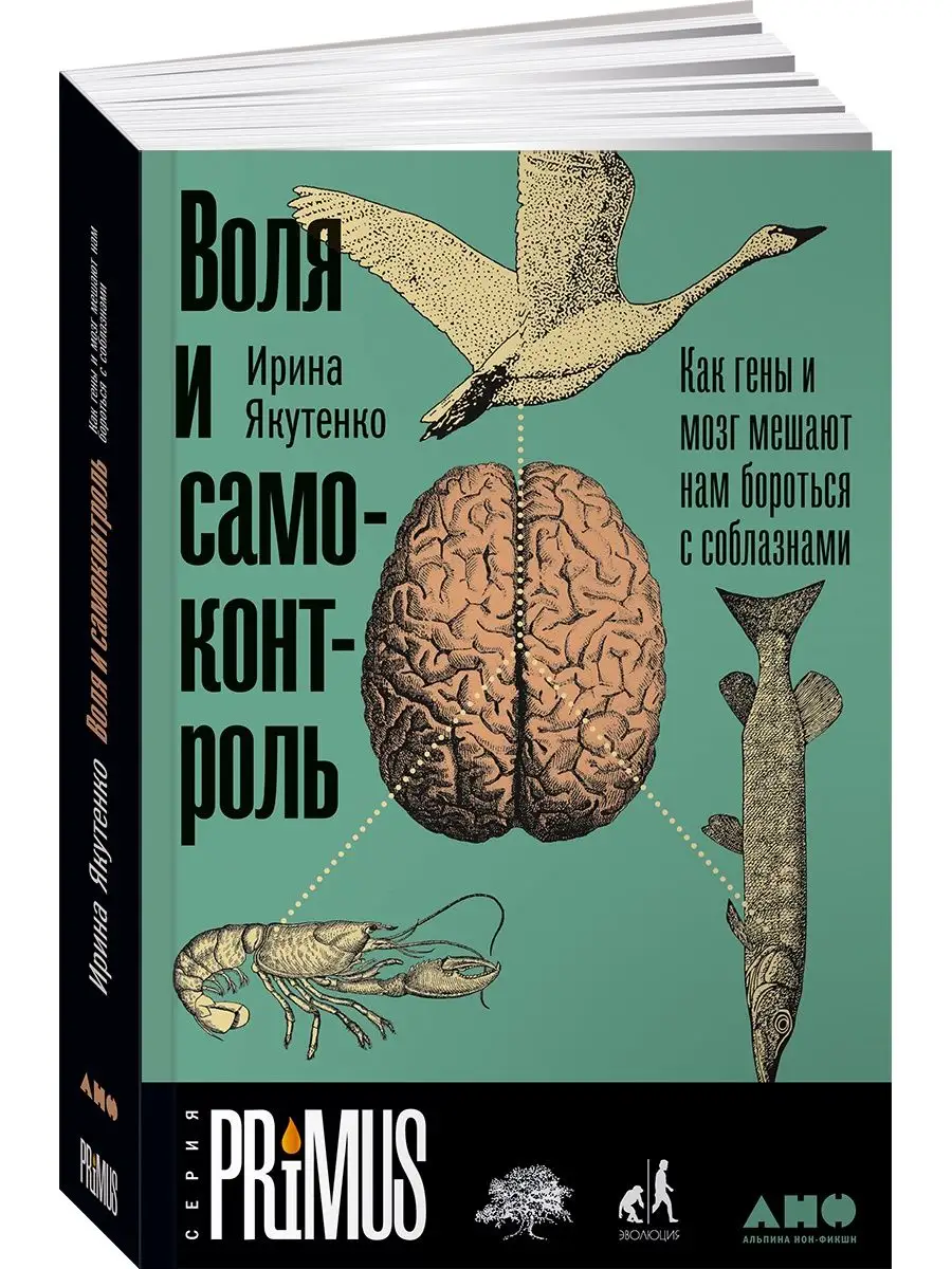 Воля и самоконтроль Альпина. Книги 4841284 купить за 661 ₽ в  интернет-магазине Wildberries