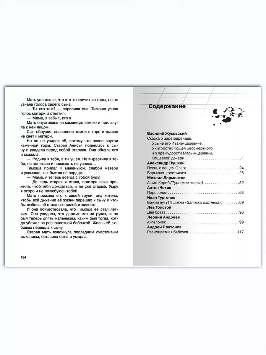 Внеклассное чтение 5 класс Омега-Пресс 4881933 купить за 359 ₽ в  интернет-магазине Wildberries