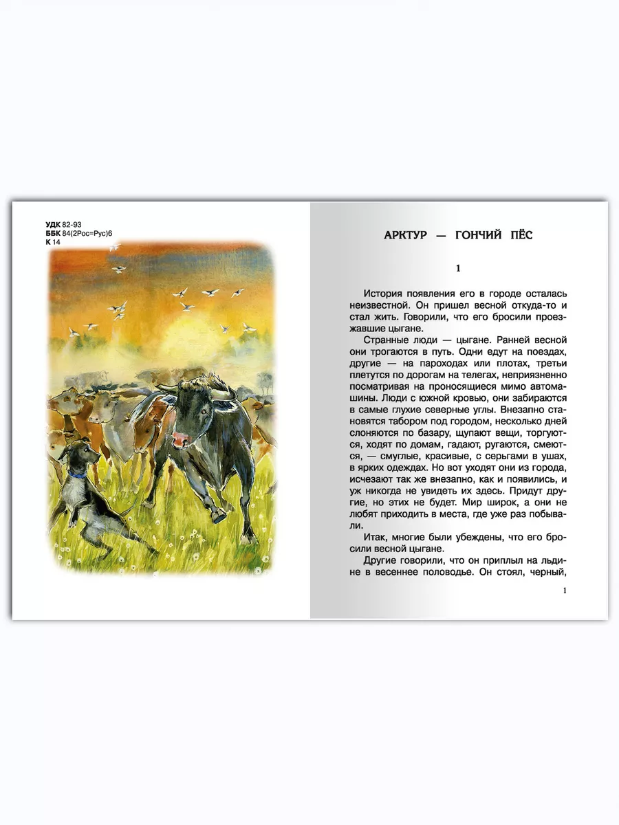 Казаков Ю. Арктур - гончий пес. Внеклассное чтение Омега-Пресс 4882027  купить в интернет-магазине Wildberries