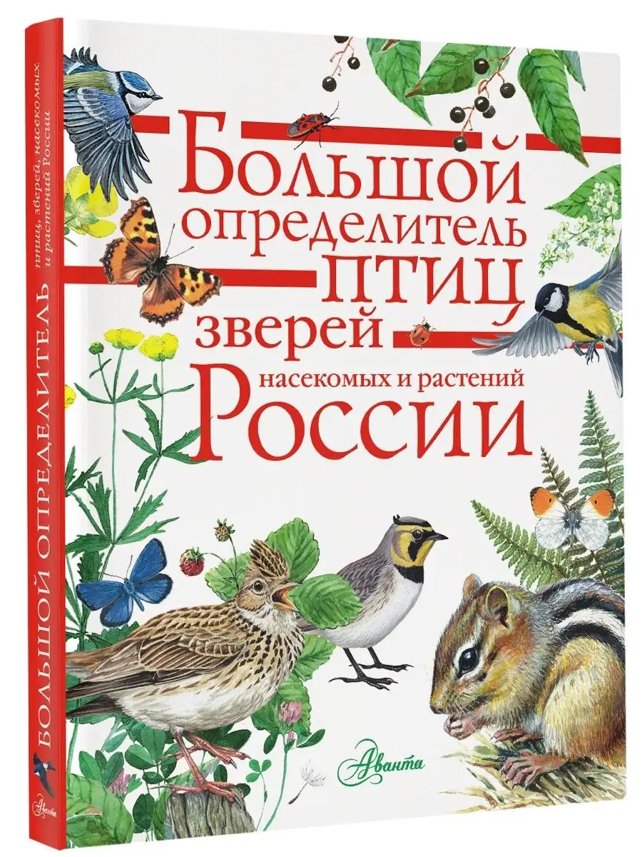 Большой определитель птиц, зверей, Издательство АСТ 4895180 купить за 1 085  ₽ в интернет-магазине Wildberries