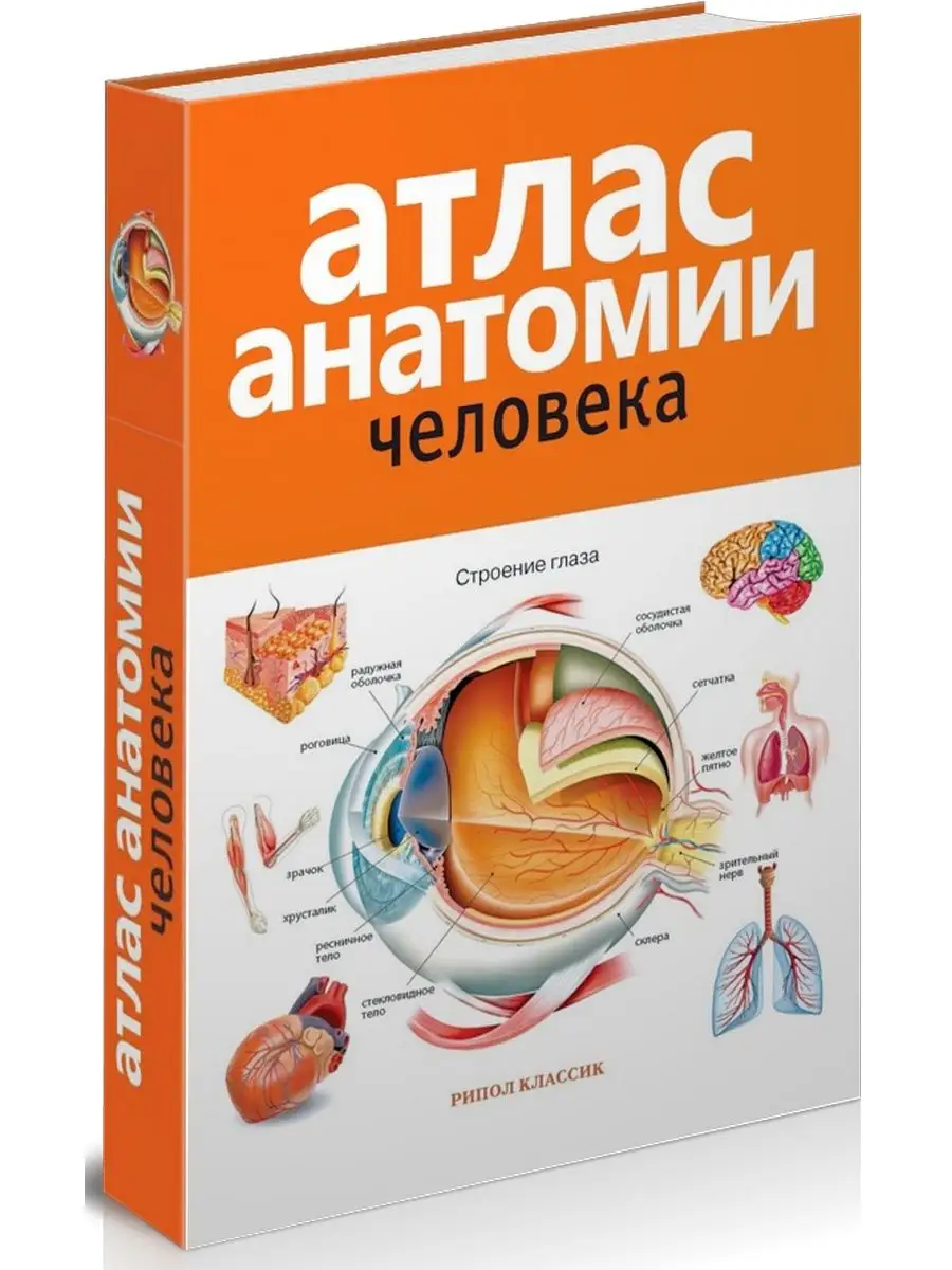 Атлас анатомии человека.
