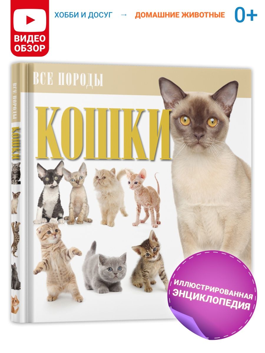 Книга-справочник Кошки: Все породы, энциклопедия Харвест 5014848 купить в  интернет-магазине Wildberries