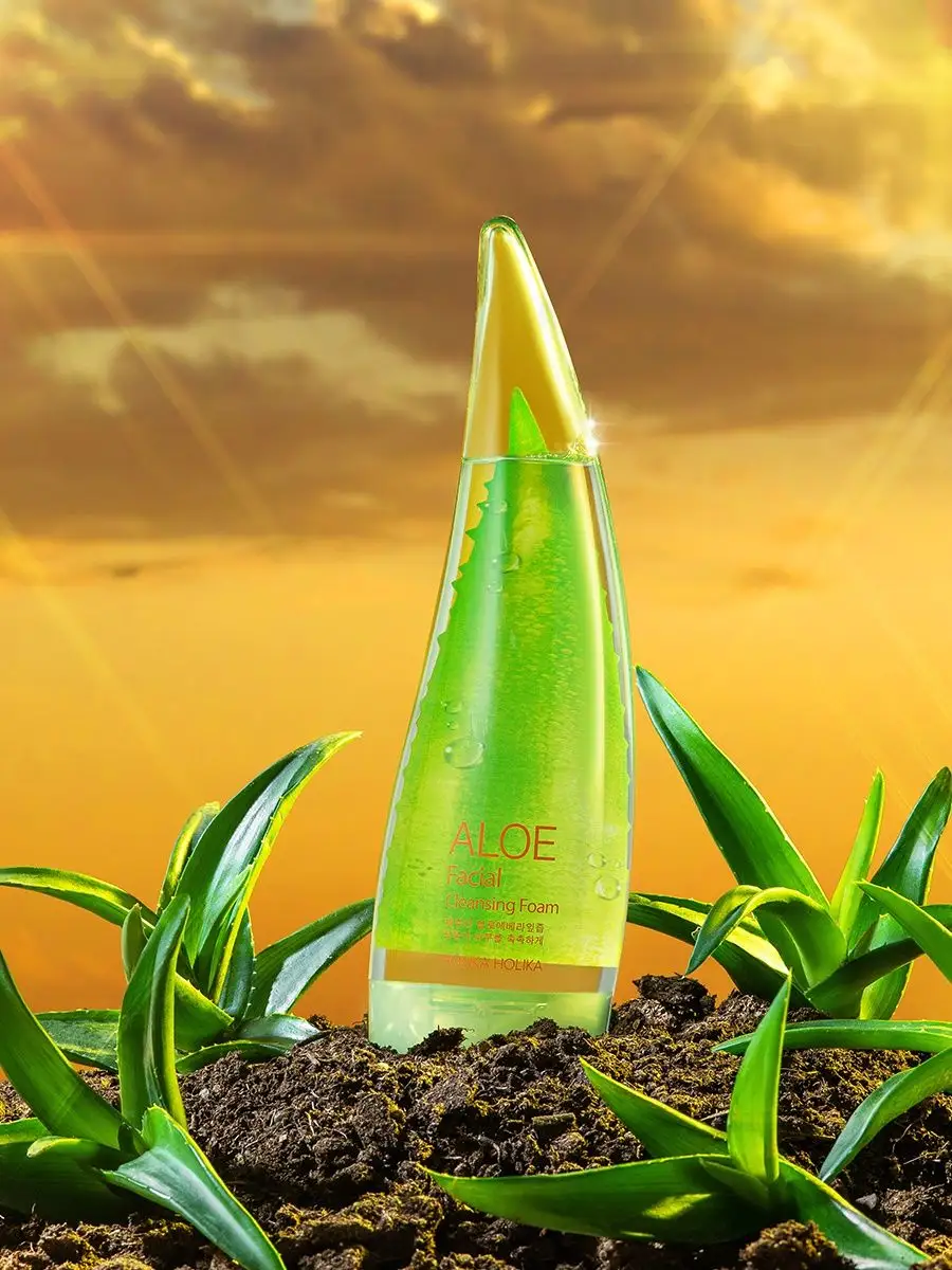 Очищающая пенка для лица с алоэ вера Aloe Cleansing Foam Holika Holika  5020806 купить за 513 ₽ в интернет-магазине Wildberries