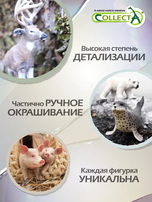 Collecta Фигурка животного Ежик, вариант, фото 5