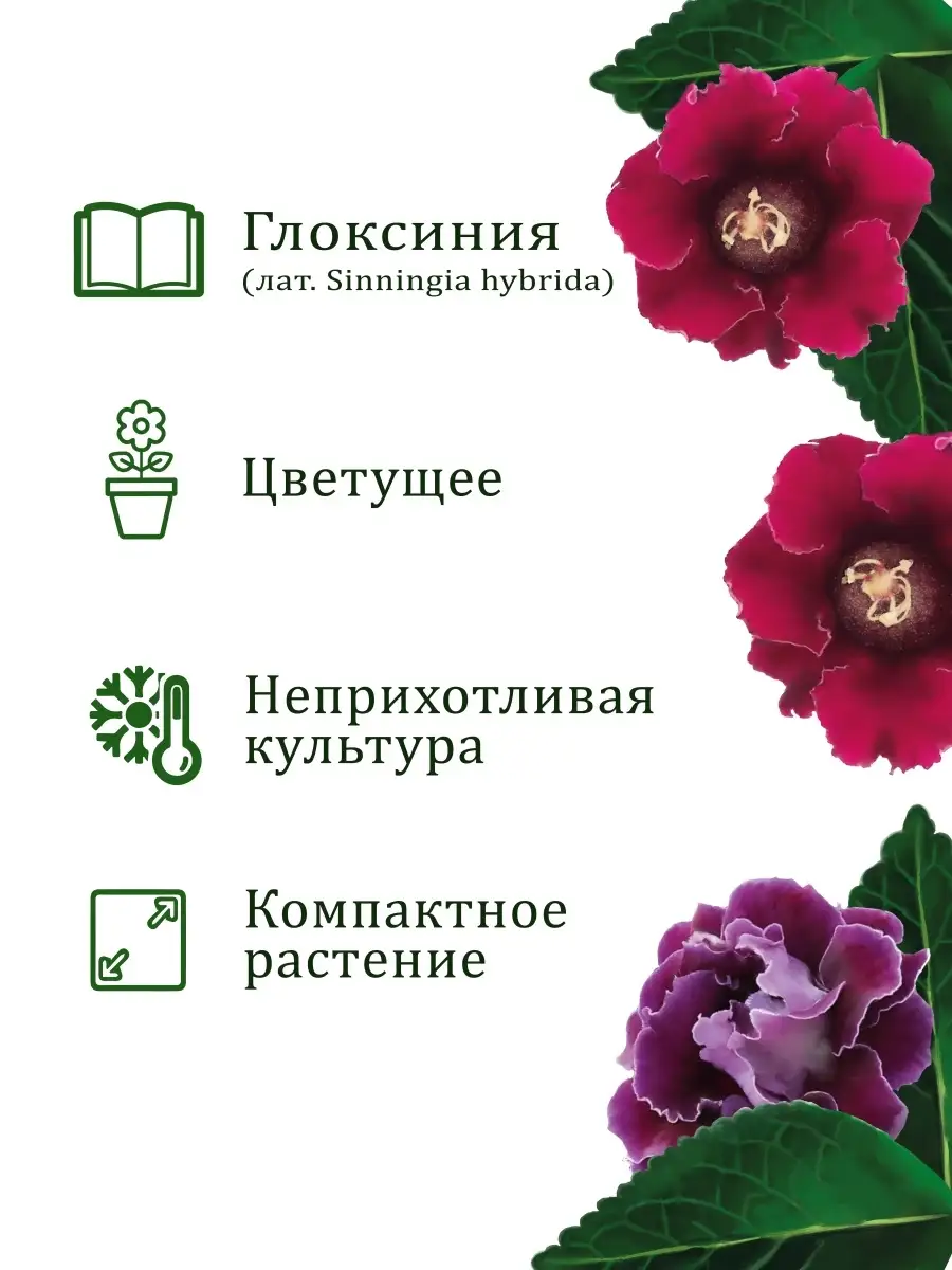 Набор для выращивания растений и цветов в горшке для дома Вырасти, Дерево!  5174278 купить за 360 ₽ в интернет-магазине Wildberries