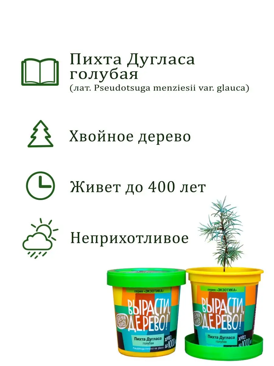 Набор для выращивания растений и цветов в горшке для дома Вырасти, Дерево!  5174280 купить за 331 ₽ в интернет-магазине Wildberries