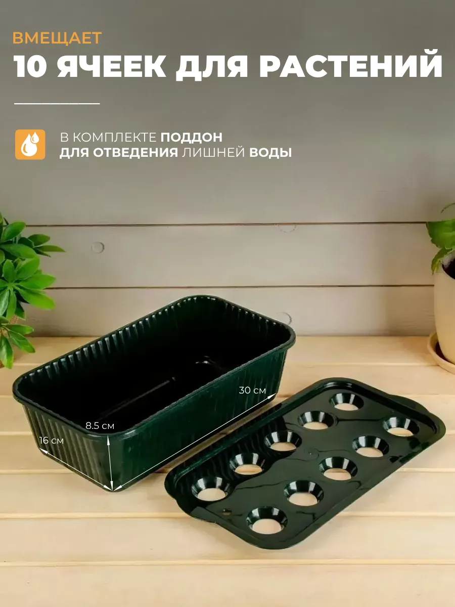 Выбрать город