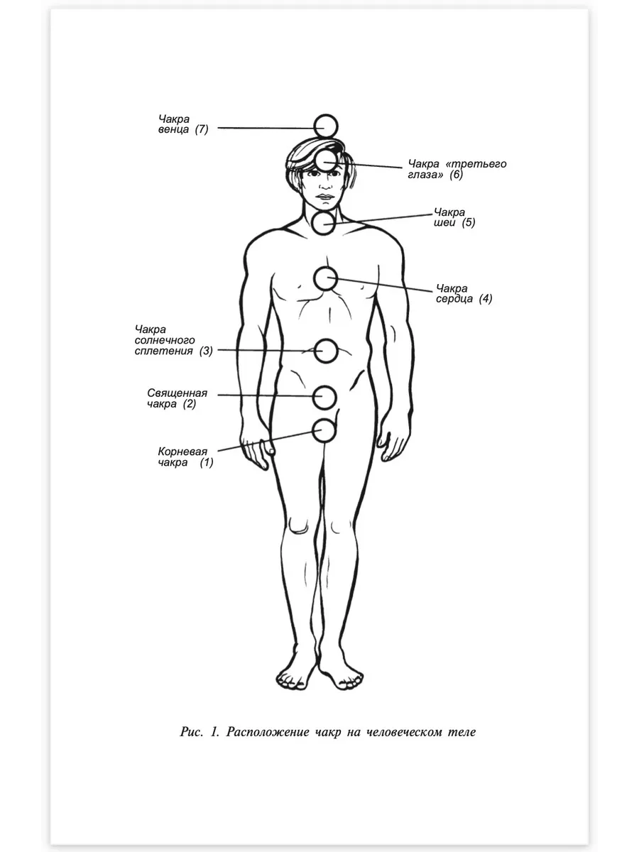 Чакры для начинающих Издательство ФАИР 5234805 купить за 222 ₽ в  интернет-магазине Wildberries