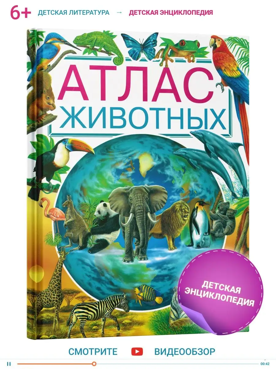 Атлас животных, детская энциклопедия Русич 5263149 купить в  интернет-магазине Wildberries