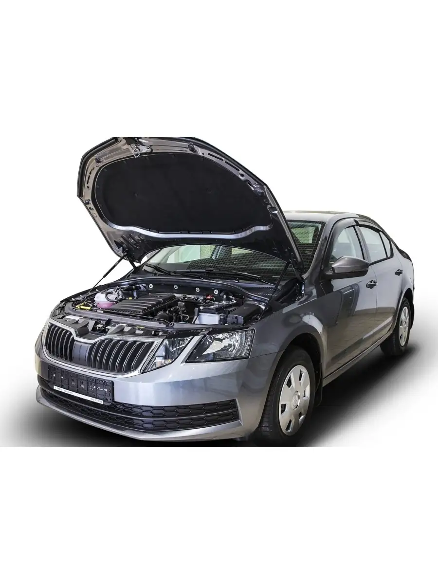 Газовые упоры капота для Skoda Octavia A7 2013-2020 Автоупор 5337396 купить  за 2 418 ₽ в интернет-магазине Wildberries