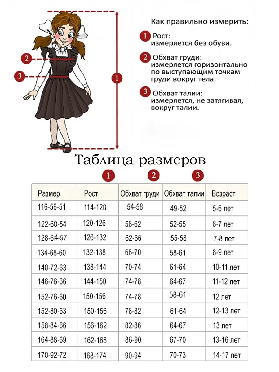 Блузка нарядная на 1 сентября ALOLIKA 5413679 купить за 1 467 ₽ в  интернет-магазине Wildberries