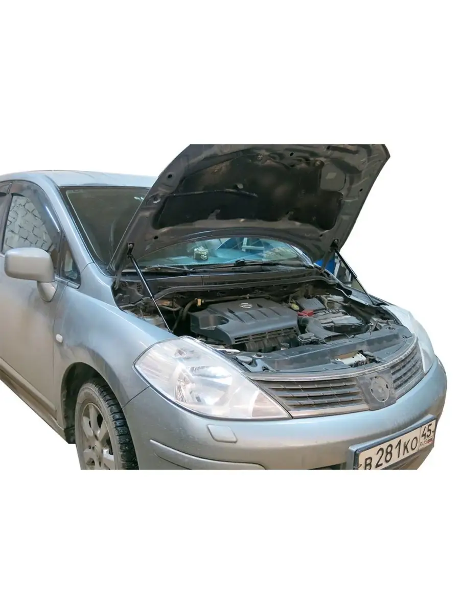 Газовые упоры капота для Nissan Tiida I 2007-2014 Автоупор 5427125 купить в  интернет-магазине Wildberries