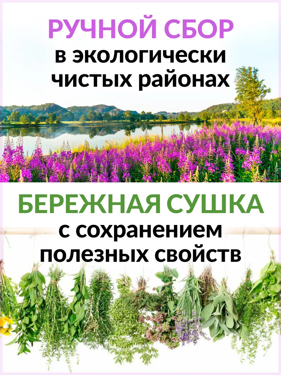 Монастырский успокоительный травяной чай 100 грамм Ненашев Дмитрий  Викторович ИП 5459686 купить за 425 ₽ в интернет-магазине Wildberries