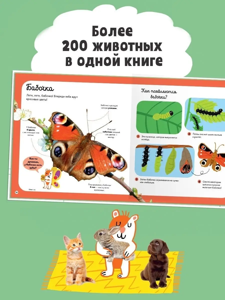 Главная книга малыша о животных / Книги для детей 3-6 лет Издательство  CLEVER 5517387 купить в интернет-магазине Wildberries