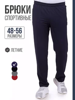 Брюки летние VIRTA 5619587 купить за 1 269 ₽ в интернет-магазине Wildberries