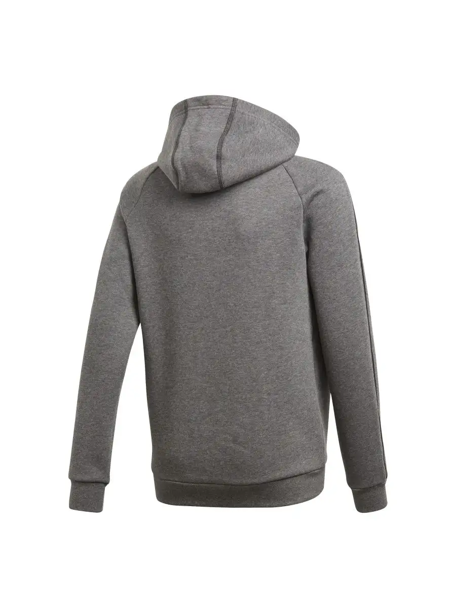 Core 18 hoody online