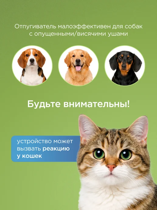 REXANT Отпугиватель собак мощный ультразвуковой, зеленый, фото 5