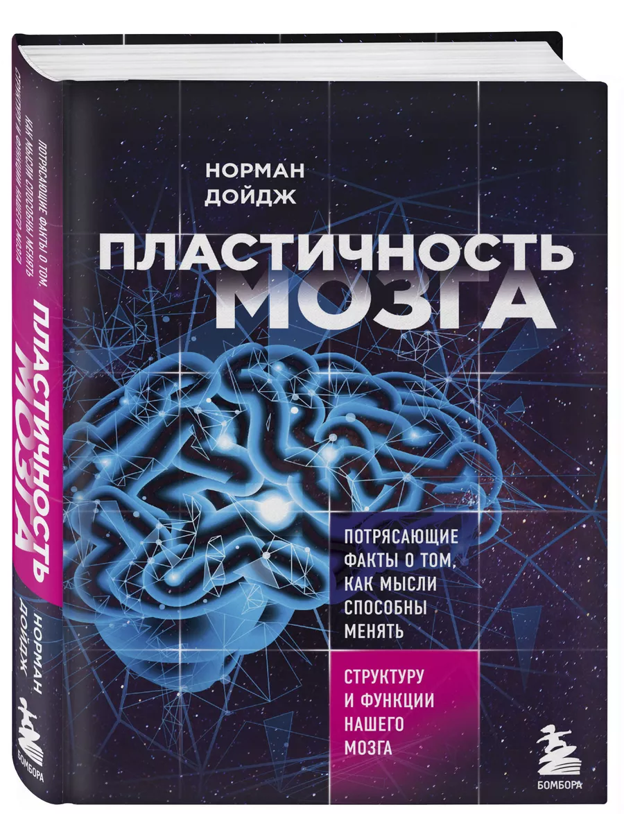 Пластичность мозга. Главный бестселлер о работе мозга Эксмо 5720168 купить  за 699 ₽ в интернет-магазине Wildberries