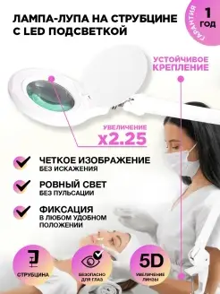 Лупа LED на струбцине с подсветкой регулировкой яркости Rexant 5738577 купить за 8 681 ₽ в интернет-магазине Wildberries