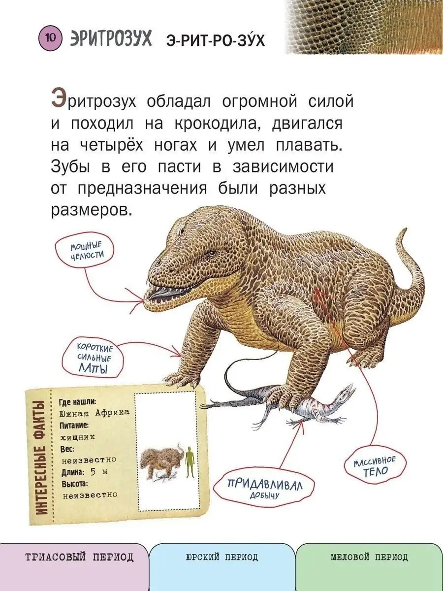 Энциклопедия. Все динозавры с крупными буквами Эксмо 5840764 купить за 1  099 ₽ в интернет-магазине Wildberries