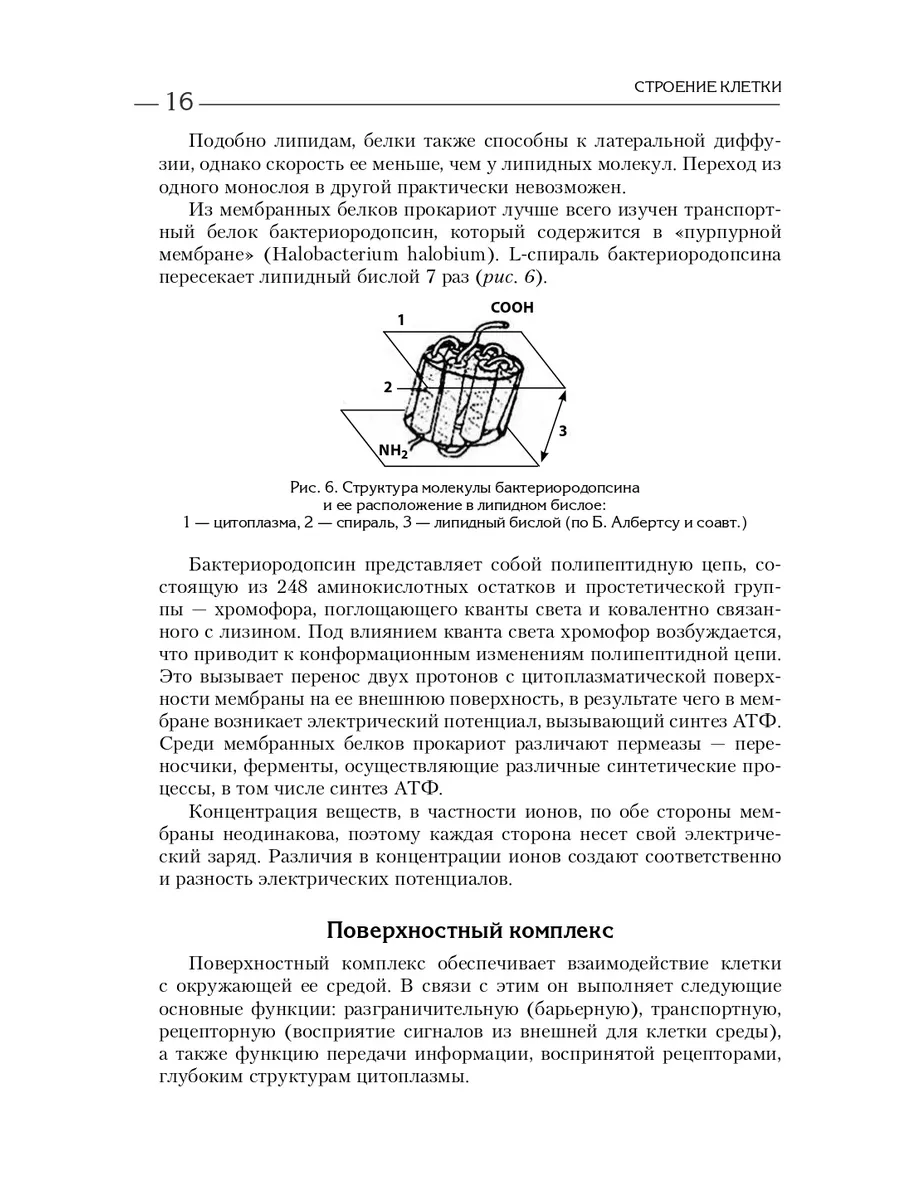 МЕДПРОФ / Биология для поступающих в вузы Эксмо 5841194 купить за 1 355 ₽ в  интернет-магазине Wildberries