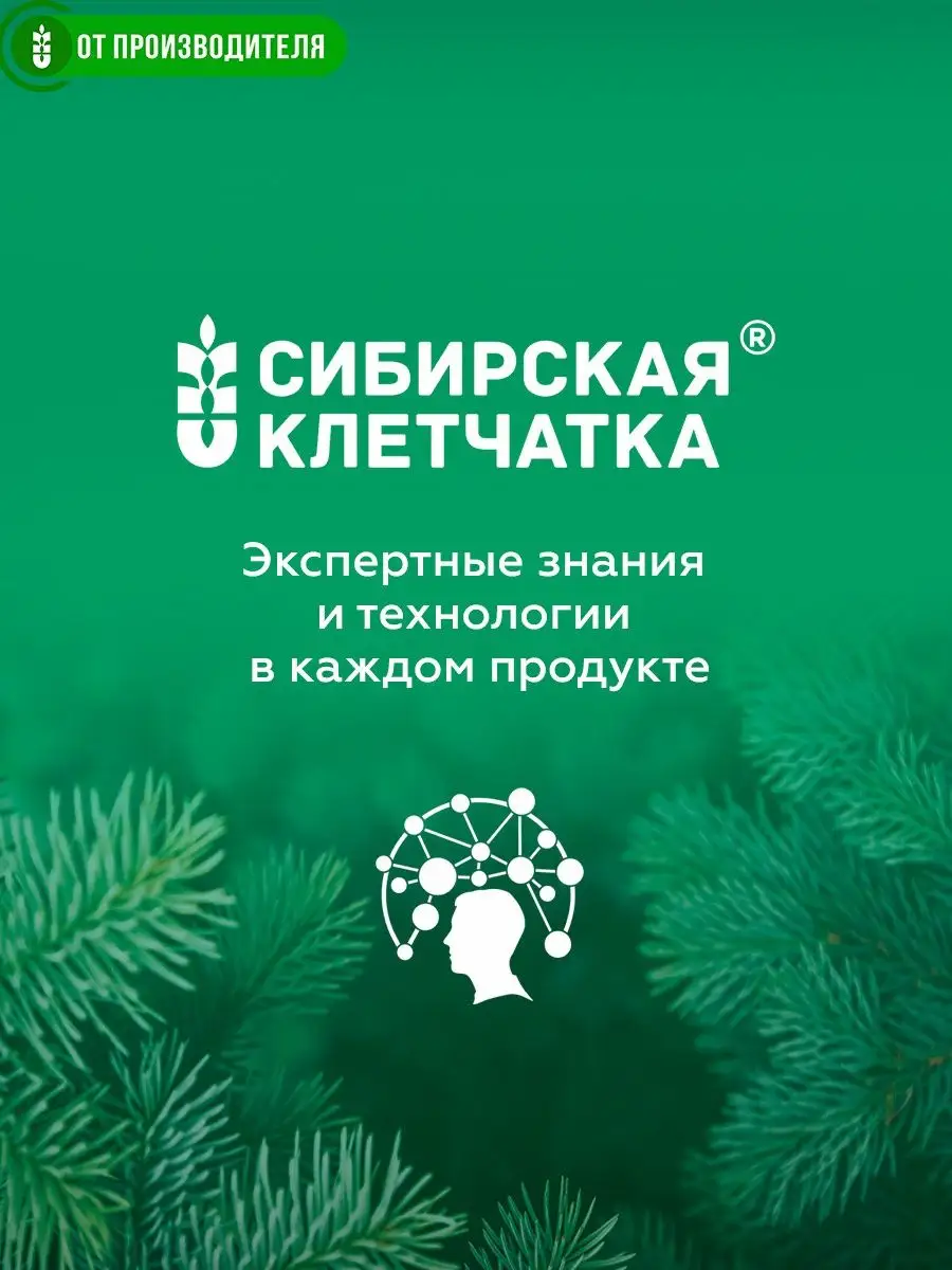 Детокс смузи для похудения с клубникой, 7 порций по 14 гр Сибирская  клетчатка 5865615 купить за 251 ₽ в интернет-магазине Wildberries