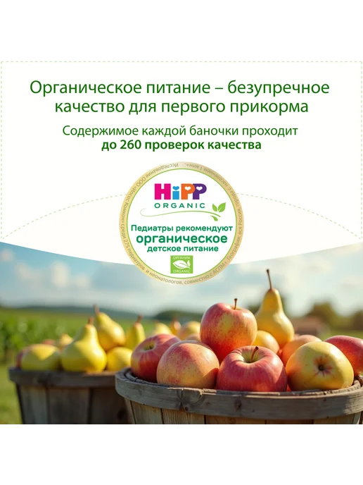 Hipp Пюре "Яблоки с грушей", с 5 месяцев, 6х100г, 100 г, фото 3