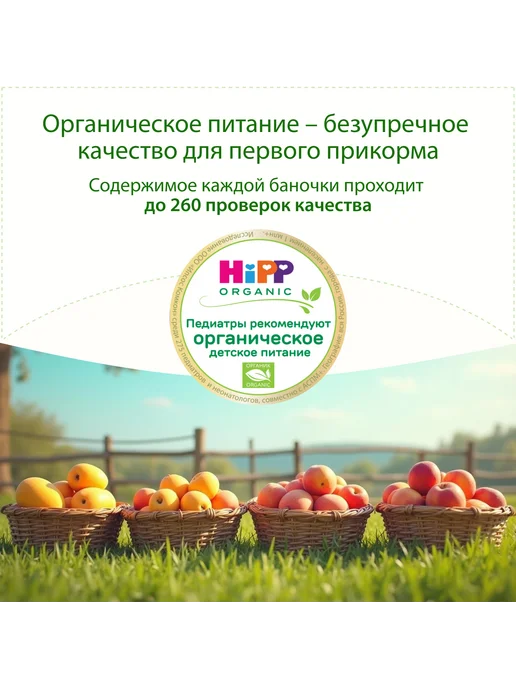 Hipp "Фруктовый десерт с манго", с 6 месяцев, 6х100г, 100 г, фото 3