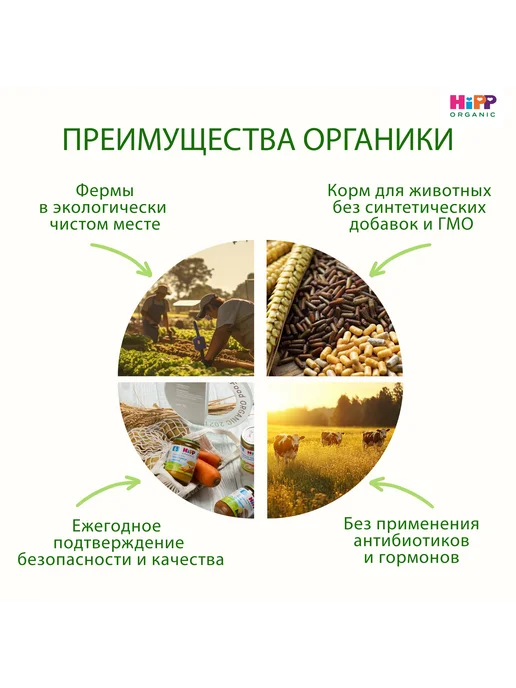 Hipp "Овощной крем-суп с индейкой", с 6 мес, 6х190г, 190 г, фото 4