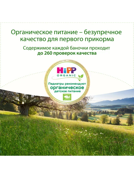 Hipp "Борщ с говядиной", с кусочками, с 8 мес, 6х190г, 190 г, фото 3