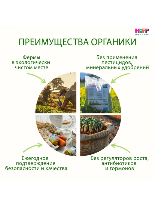 Hipp "Яблоко с бананом и печеньем", с 6 месяцев, 6х190г, 190 г, фото 4