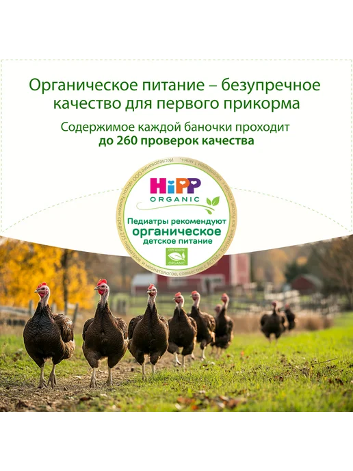 Hipp Пюре мясное "Индейка", с 6 месяцев, 6х80г, 80 г, фото 3