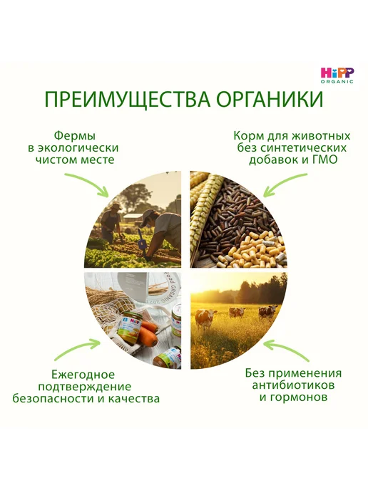 Hipp Пюре мясное "Говядина", с 6 месяцев, 6х80г, 80 г, фото 4
