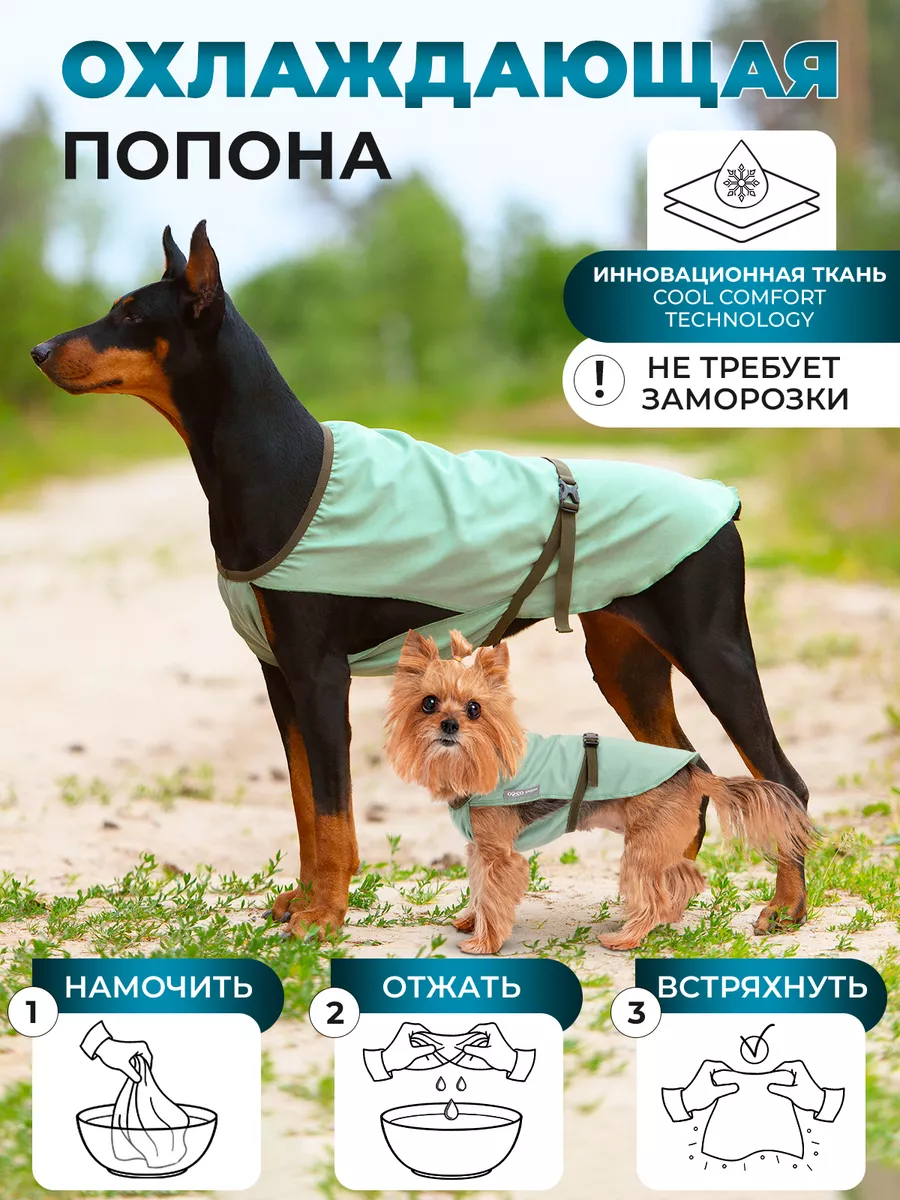Попона для собак купить в Москве