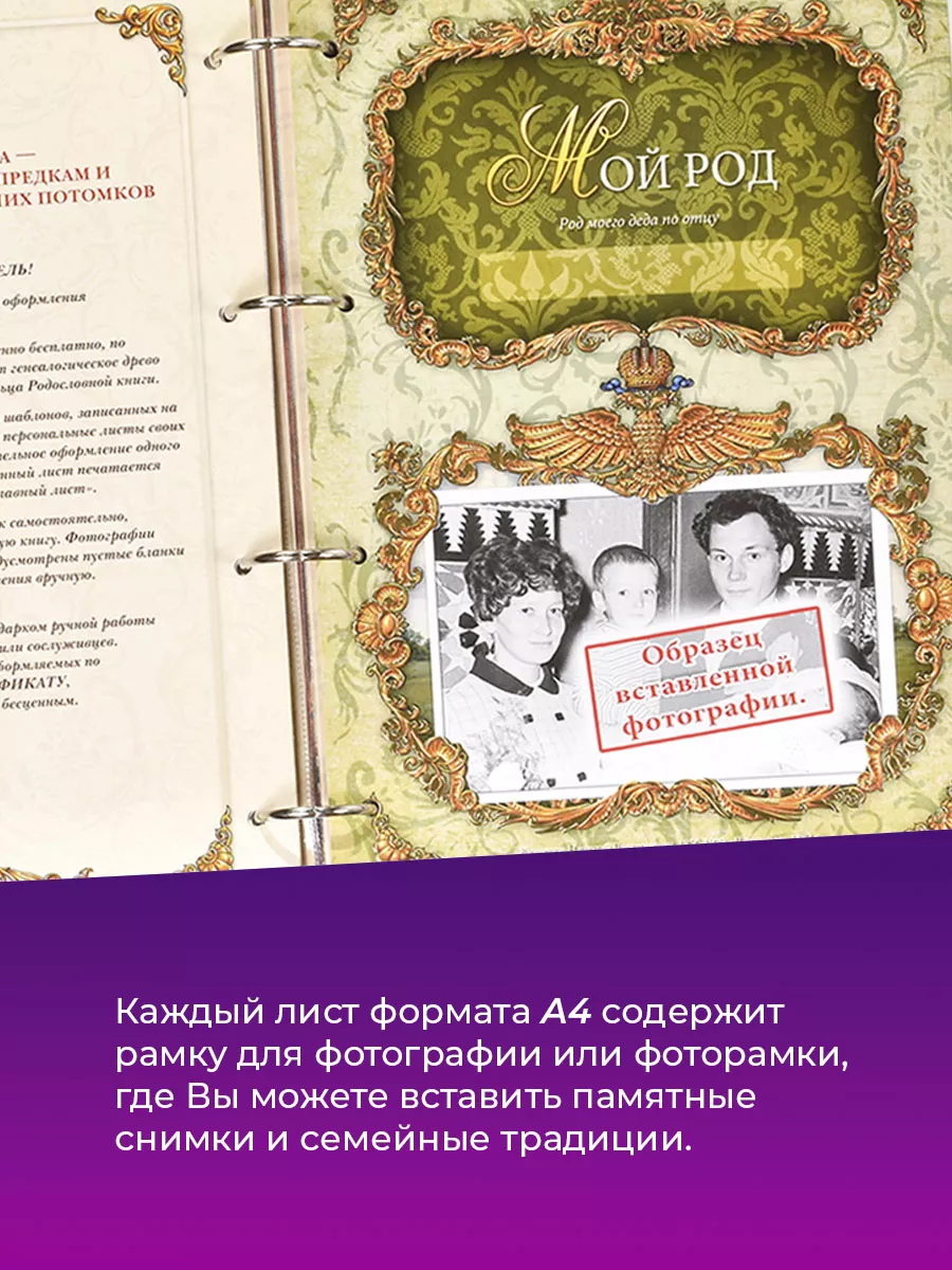 Шаблоны родословных книг