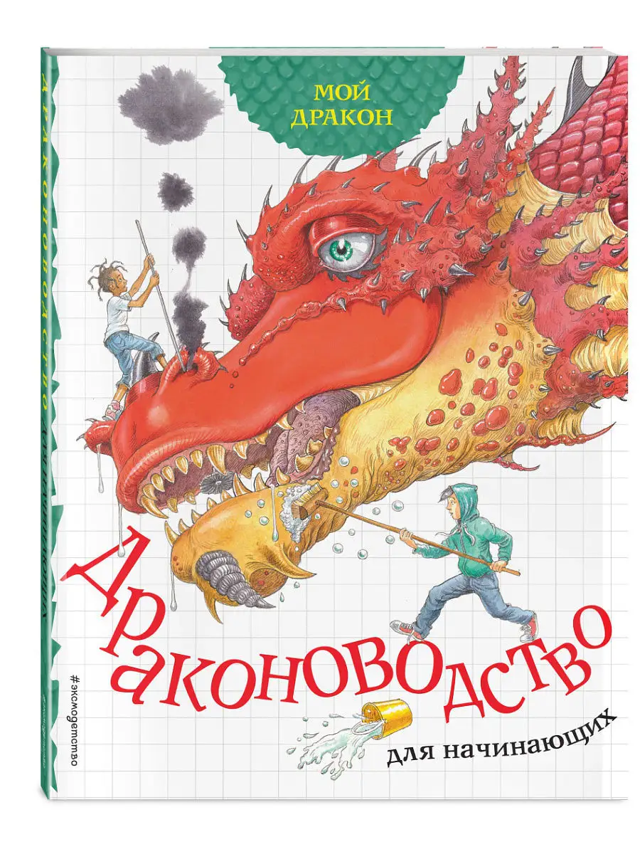 игра лети мой дракон (96) фото