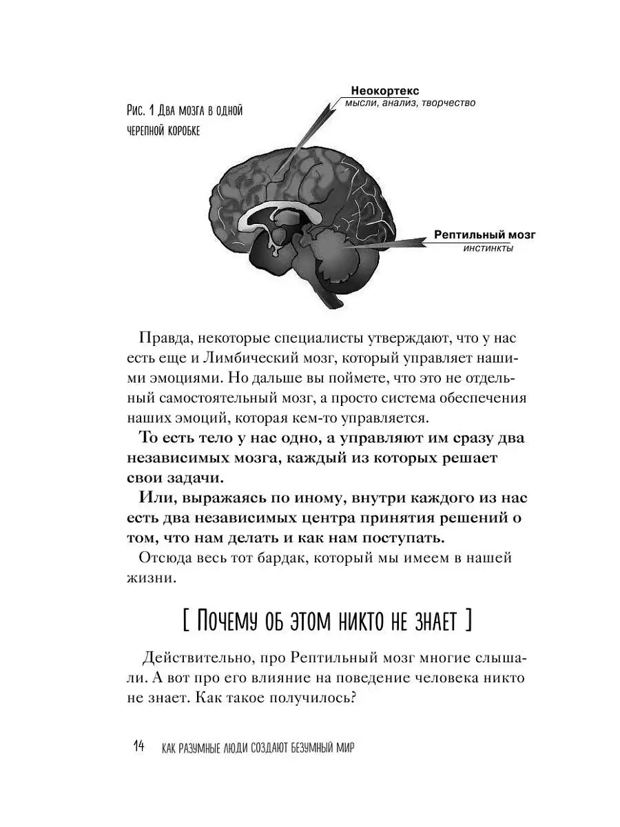 Как разумные люди создают безумный мир. Эксмо 6224808 купить в  интернет-магазине Wildberries