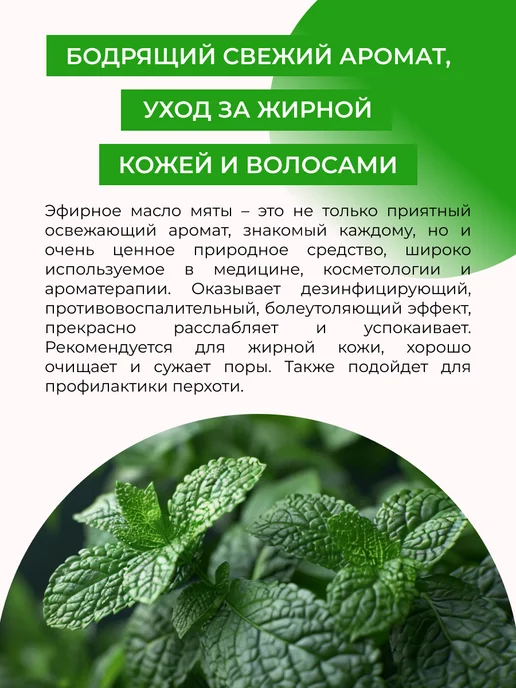 SIBERINA Эфирное аромамасло мяты натуральное, 8 мл, фото 4