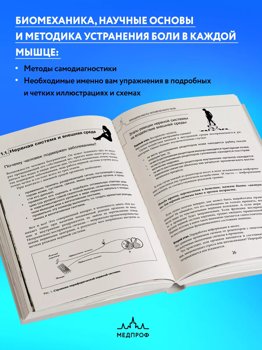 МЕДПРОФ / Прикладная кинезиология Эксмо 6381712 купить за 867 ₽ в  интернет-магазине Wildberries