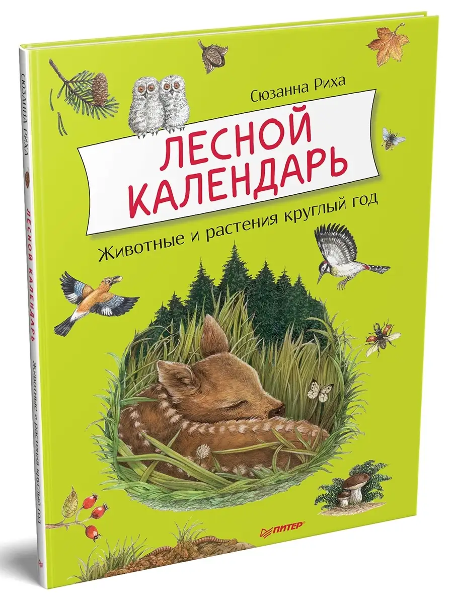 Лесной календарь 5+ ПИТЕР 6442491 купить за 449 ₽ в интернет-магазине  Wildberries