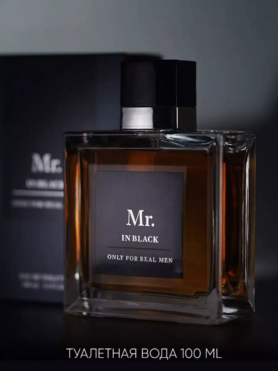 Туалетная вода мужская Mr. In Black духи 100 мл. Christine Lavoisier  Parfums 6448653 купить за 949 ₽ в интернет-магазине Wildberries