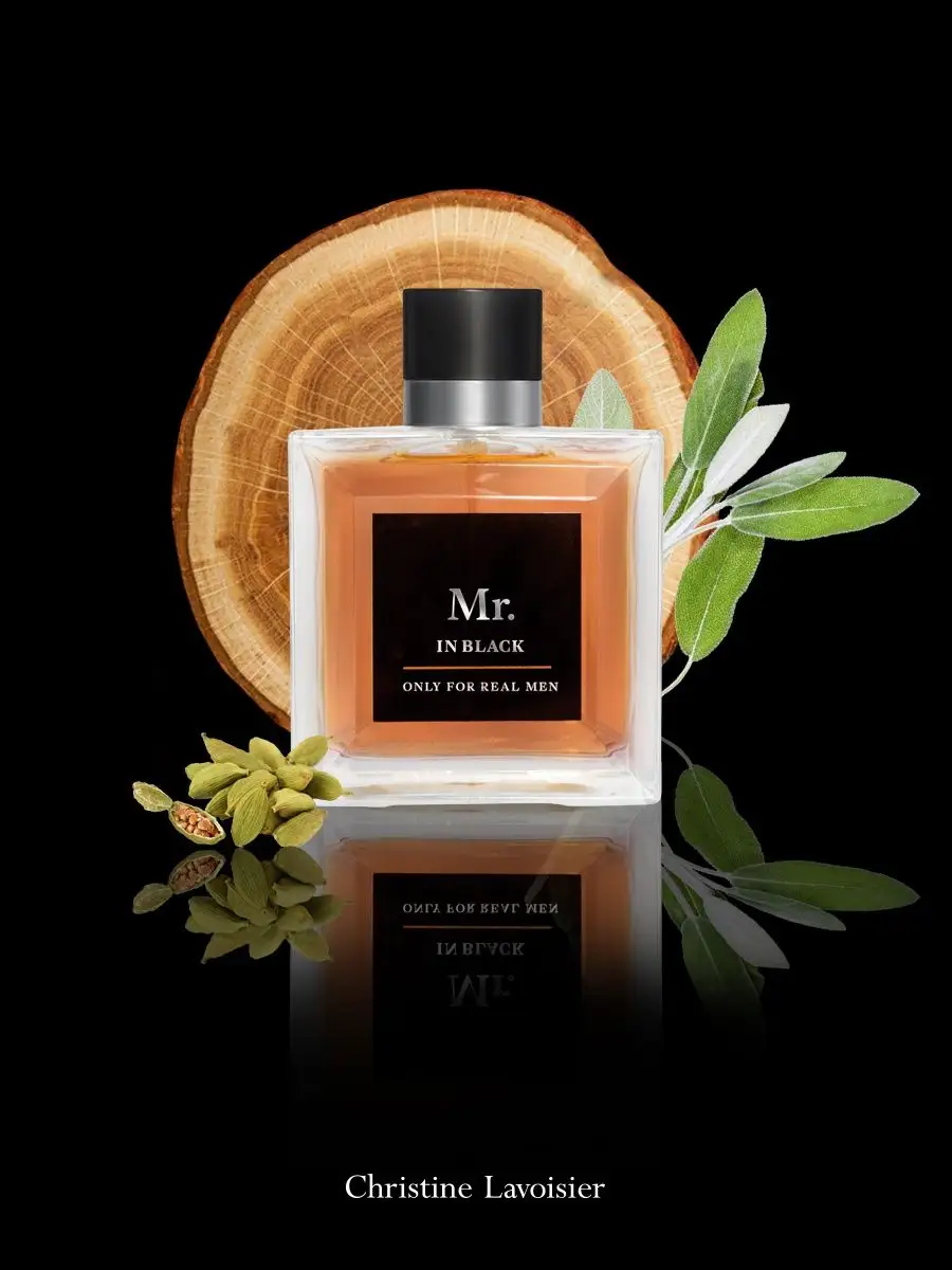 Туалетная вода мужская Mr. In Black духи 100 мл. Christine Lavoisier  Parfums 6448653 купить за 949 ₽ в интернет-магазине Wildberries