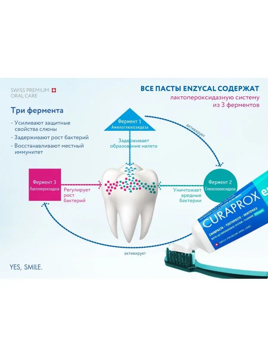 Зубная паста с фтором Enzycal 950 ppm 6+ 75 мл Curaprox 6503177 купить за 1  311 ₽ в интернет-магазине Wildberries